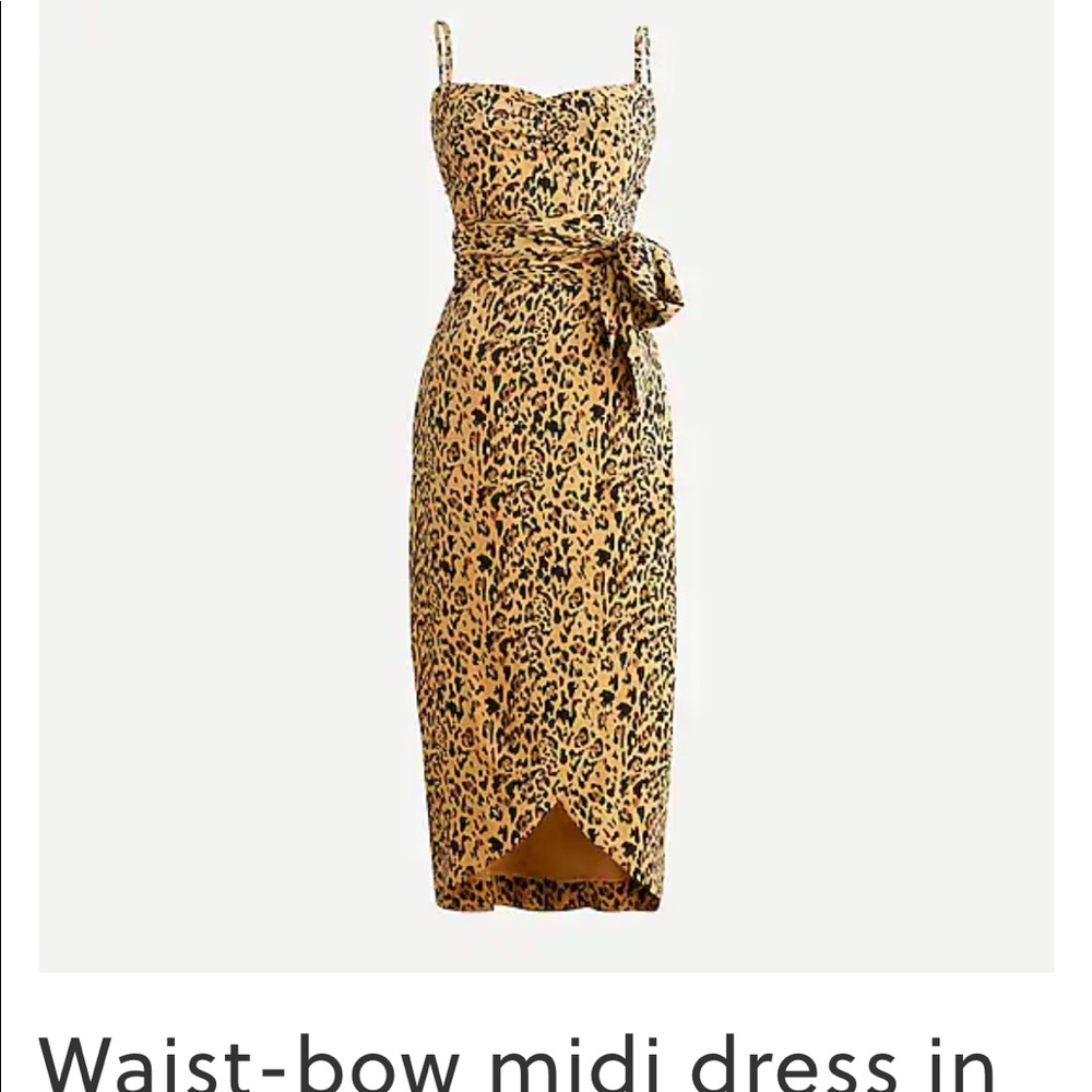 J Crew Leopard Print Dress - Size 6 NWT